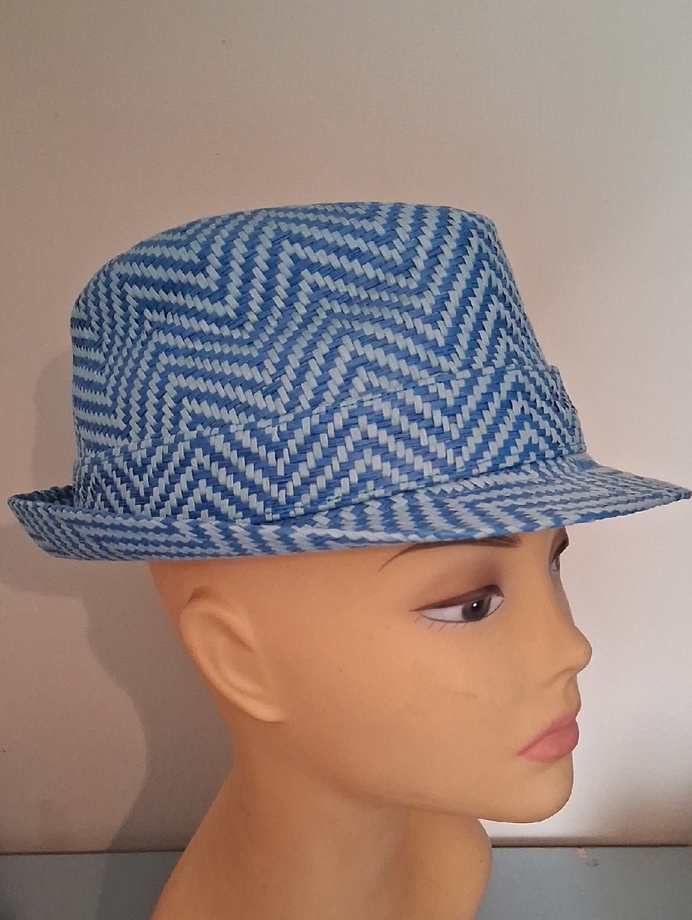 Daniel Cremieux Blue & White Fedora Hat